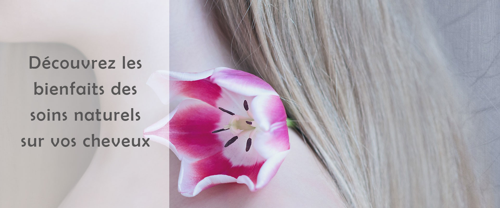 Tulipe sur une épaule